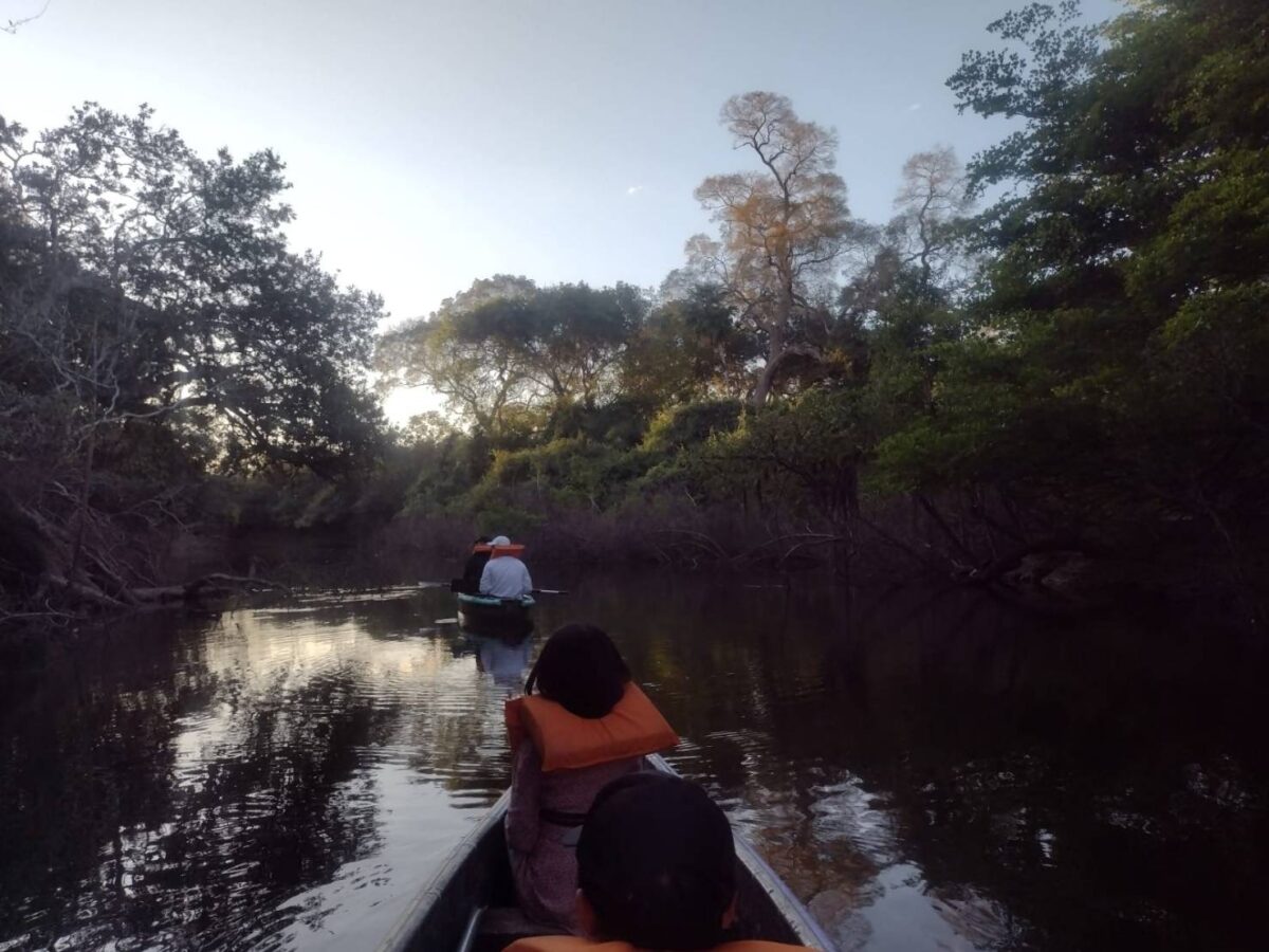 pantanal canoe
