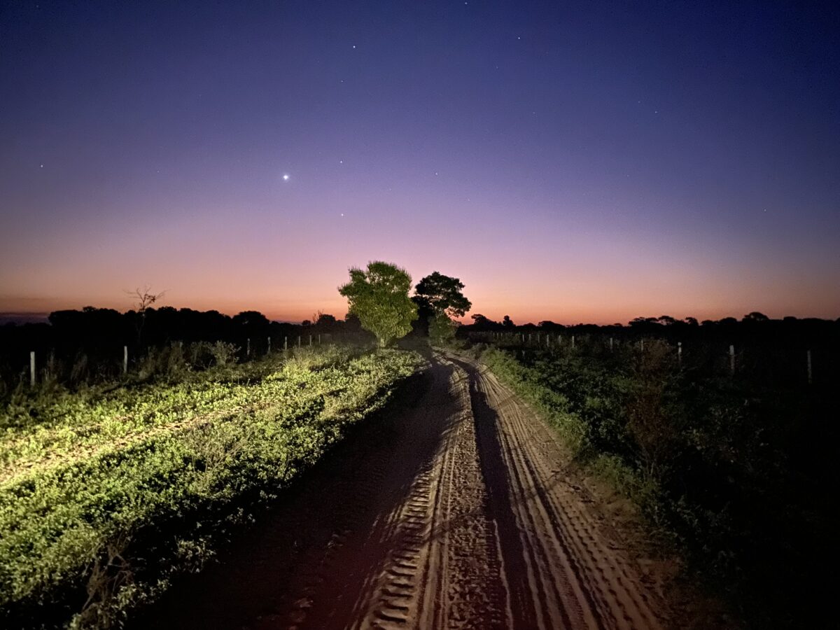 pantanal sunset safari