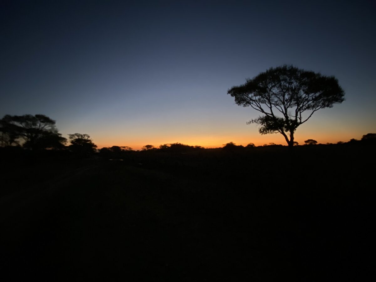 pantanal sun set